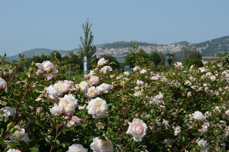 Vila Il Fienile Di Assisi Exteriér fotografie