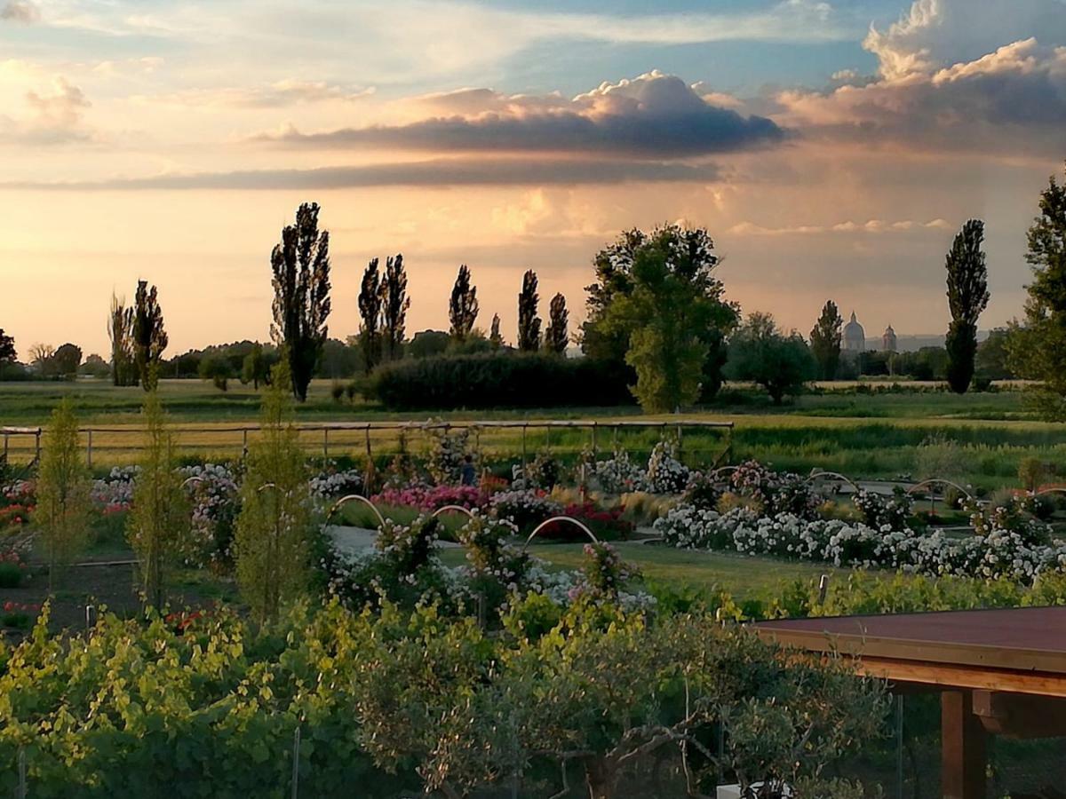 Vila Il Fienile Di Assisi Exteriér fotografie
