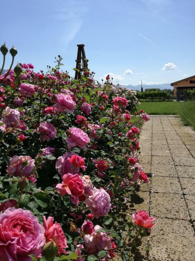 Vila Il Fienile Di Assisi Exteriér fotografie